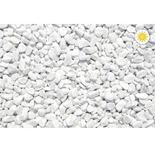 Zierkies Marmor 12-16 mm 10 kg Carrara-Weiß-thumb-0