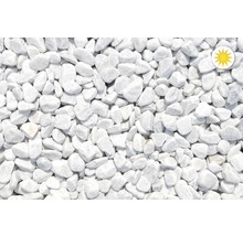 Zierkies Marmor 16-25 mm 1000 kg Bigbag Carrara-Weiß-thumb-0 Zierkies Marmor 16-25 mm 1000 kg Bigbag Carrara-Weiß-thumb-0