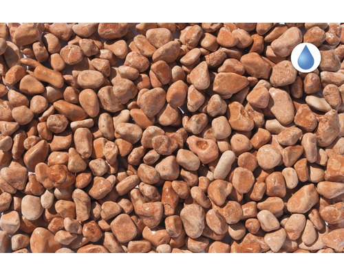 Nahaufnahme von Zierkies