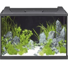 Aquarium EHEIM aquaproLED 84 mit LED-Beleuchtung, Filter