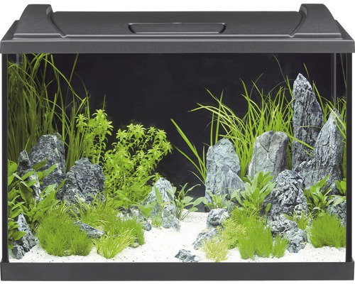 Aquarium EHEIM Aquapro inkl. Abdeckung Beleuchtung Innenfilter Heizer/Heizstab Thermometer Fangnetz 60 x 35 x 40 cm schwarz