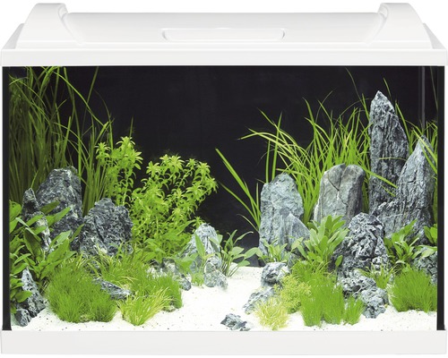 Aquarium EHEIM Aquapro inkl. Abdeckung Beleuchtung Innenfilter Heizer/Heizstab Thermometer Fangnetz 60 x 35 x 40 cm weiß