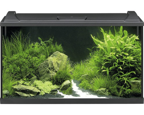 Aquarium EHEIM Aquapro inkl. Abdeckung Beleuchtung Innenfilter Heizer/Heizstab Thermometer Fangnetz 80 x 35 x 45 cm schwarz