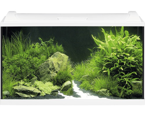 Aquarium EHEIM Aquapro inkl. Abdeckung Beleuchtung Innenfilter Heizer/Heizstab Thermometer Fangnetz 80 x 35 x 45 cm weiß