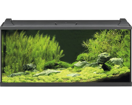 Aquarium EHEIM Aquapro inkl. Abdeckung Beleuchtung Innenfilter Heizer/Heizstab Thermometer Fangnetz 100 x 40 x 45 cm schwarz