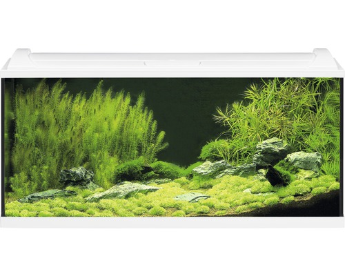 Aquarium EHEIM Aquapro inkl. Abdeckung Beleuchtung Innenfilter Heizer/Heizstab Thermometer Fangnetz 100 x 40 x 45 cm weiß