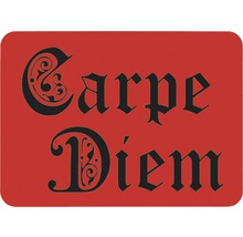 Carpe Diem Schriftzug