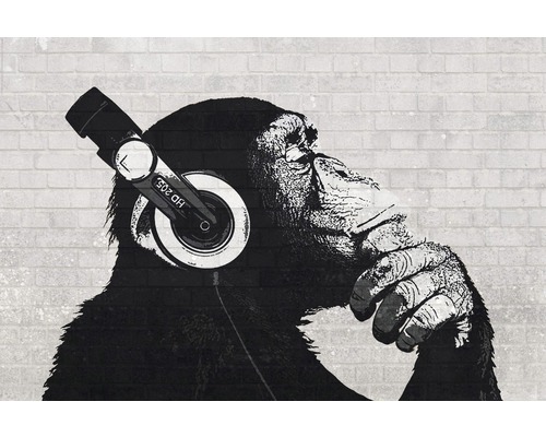 Poster The Chimp Stereo II 61x91,5 cm