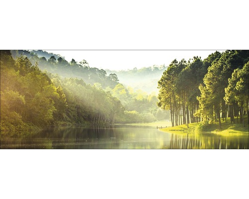 Glasbild Forest Atmosphere I 30x80 cm GLA1820