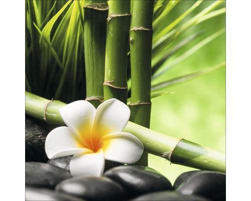 Glasbild Flowers Stones Bamboos III 30x30 cm GLA1831