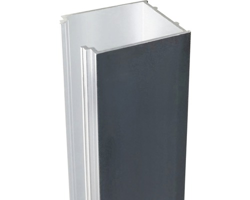 Ausgleichprofil Sanotechnik Smartflex für Glaswände 3 cm aluminium Aluminiumprofil