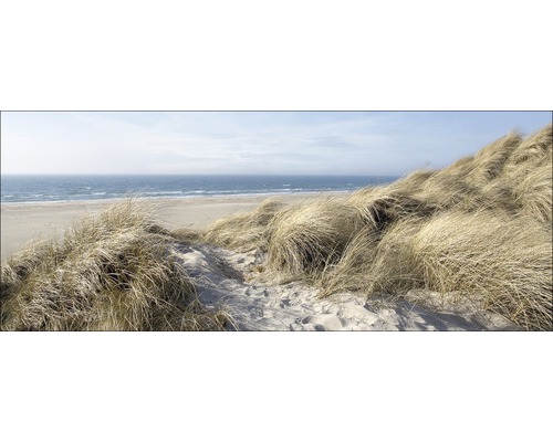 Dünenlandschaft mit Strandhafer und Meer