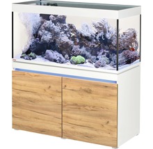 Aquarium mit Unterschrank und Inneneinrichtung