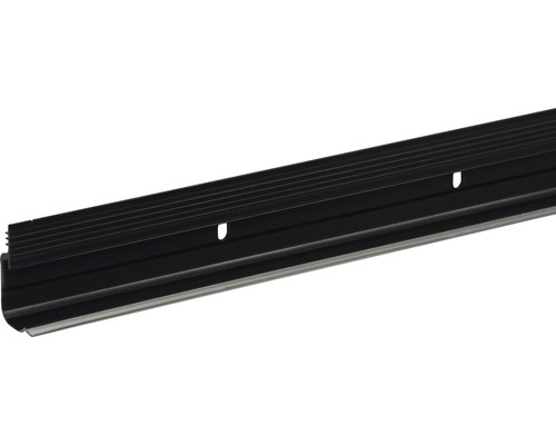 Click-Fix mit Dichtlippe schmal schwarz transparent 15x27x2400 mm Türdichtungsprofil