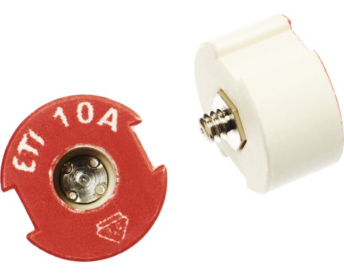 Diazed Passeinsatz 10A S II 2 Stück Diazed Sicherungseinsatz 10 Ampere