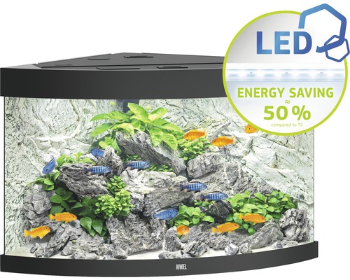 Eckaquarium mit Fischen, Pflanzen und LED-Beleuchtung für Energieeinsparung