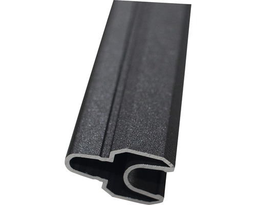 Alu-Lisenenprofil GroJa Flex Grande 180 cm anthrazit Alu-Lisenenprofil GroJa Flex Grande 180 cm anthrazit