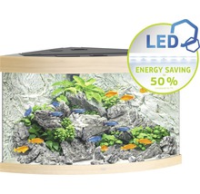 Eckaquarium mit Fischen, Pflanzen, Steinen und LED Beleuchtung