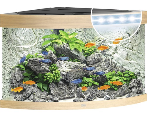 Aquarium JUWEL Trigon 190 mit LED-Beleuchtung, Filter, Heizer ohne Unterschrank helles Holz