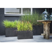 Drei Pflanzkästen mit Bepflanzung im Außenbereich