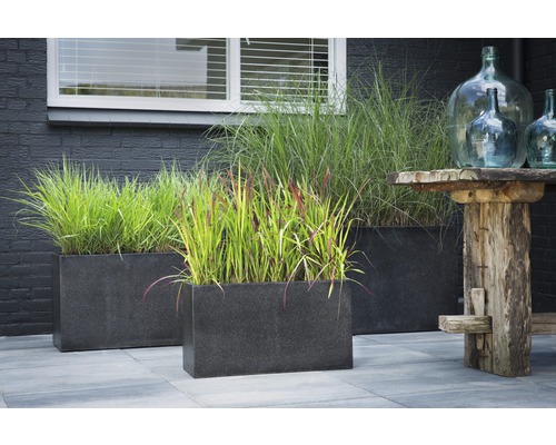 Drei Pflanzkästen mit Bepflanzung im Außenbereich