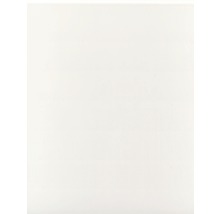 Kunststoffpaneel Element Compact weiss glänzend 1200 x 375 x 8 mm