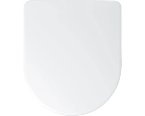 Toilettendeckel aus Kunststoff