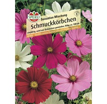 Samenpackung Schmuckkörbchen Mischung von Sperli