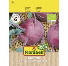 FloraSelf Kohlrabi Samenpackung