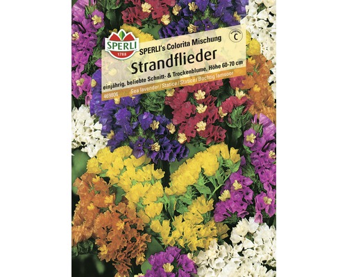 Strandflieder SPERLI´s 'Colorita Mischung' Blumensamen