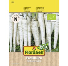 Bio Pastinaken FloraSelf Bio samenfestes Saatgut Gemüsesamen-thumb-0