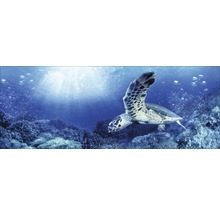 Dekoratives Wandbild mit Unterwassermotiv und Meeresschildkröte