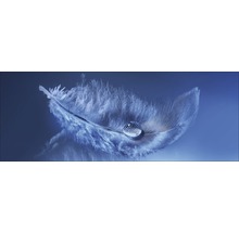Feder mit Wassertropfen