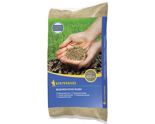 Rasensamen Kiepenkerl Regenerations-Rasen 10kg / 400 m² Kiepenkerl Regenerationsrasen, 10 Kilogramm Packung