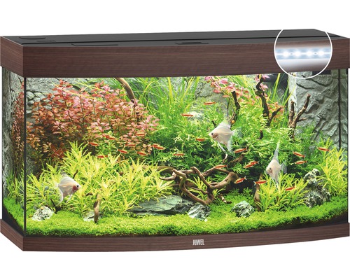 Aquarium JUWEL Vision 180 mit LED-Beleuchtung, Heizer, Filter ohne Unterschrank dunkles Holz Aquarium JUWEL Vision 180 mit LED-Beleuchtung, Heizer, Filter ohne Unterschrank dunkles Holz