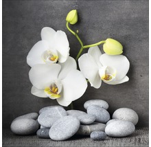 Stillleben mit weißer Orchidee und Kieselsteinen
