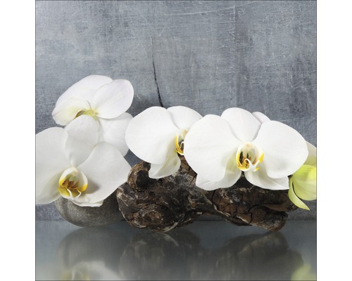 Glasbild White Orchid II 20x20 cm