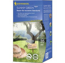 Kiepenkerl Sunny Green Rasensamen für trockene Standorte, ausreichend für 35 Quadratmeter
