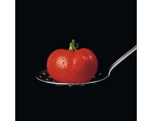 Glasbild Tomato On Black 20x20 cm