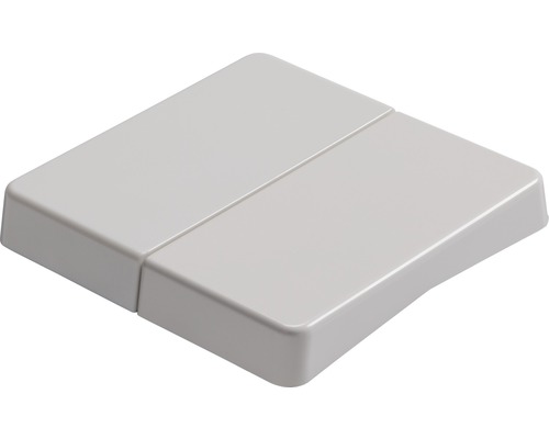 Doppeltaster aus Kunststoff