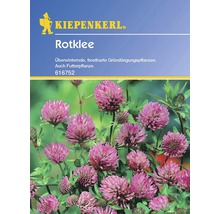 Kiepenkerl Logo. Rotklee-Samenpackung mit blühendem Klee.
