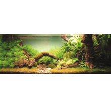 Aquariumbeleuchtung JBL LED Solar Natur 22 W, 438 mm