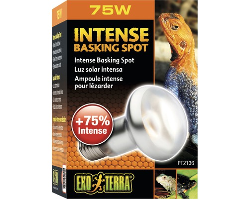 Exo Terra Intense Basking Spot 75 Watt Verpackung