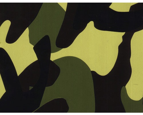 Wassertransferdruck Folie Tarn CA-NR-010 50x100 cm Muster im Camouflage Design