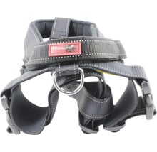 Hundegeschirr aus Textil mit Metallelementen