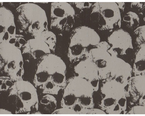 Wassertransferdruck Folie Skulls CD-296 50x100 cm Abbildung von Schädeln