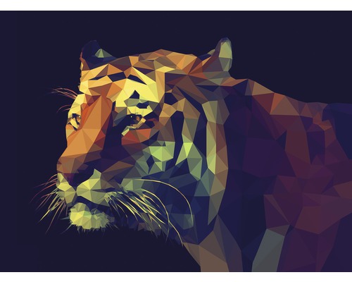 Leinwandbild Colourful Tiger 84x116 cm