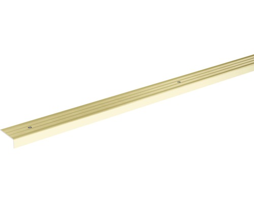 Treppenkantenprofil champagner eloxiert gelocht 24,5x9,5x900 mm Treppenkantenprofil champagner eloxiert gelocht 24,5x9,5x900 mm