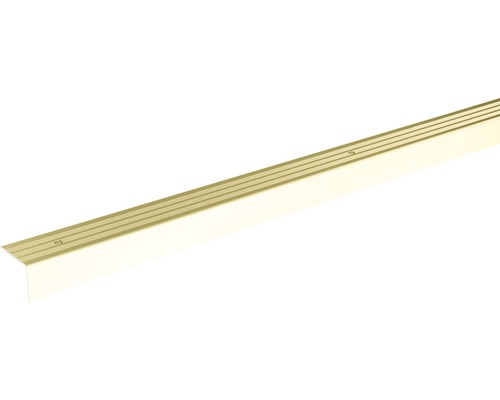 Treppenkantenprofil champagner eloxiert gelocht 24,5x20x900 mm Treppenkantenprofil champagner eloxiert gelocht 24,5x20x900 mm