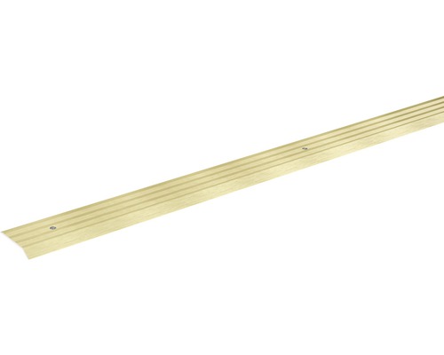 Anpassungsprofil champagner eloxiert gelocht 29x5x900 mm Metall Abschlussprofil mit Schrauben